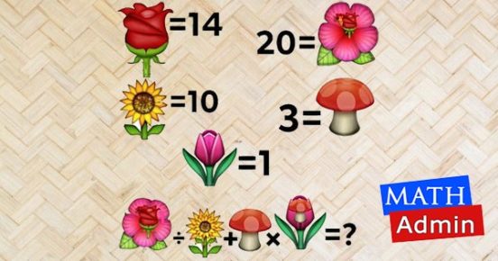 viral12 solve pictorial math