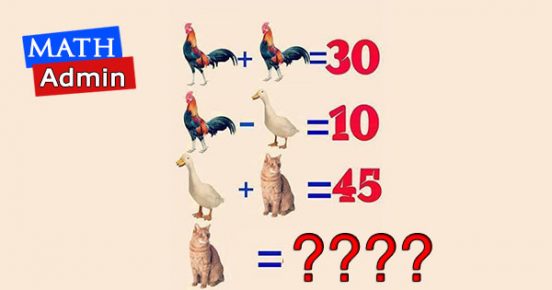 Viral 24 - find value of the cat